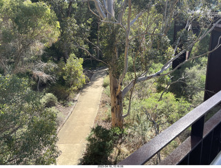 Astro Trails - Perth tour - Australian Botanical Garden - aerial walkway