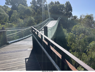 Astro Trails - Perth tour - Australian Botanical Garden - aerial walkway