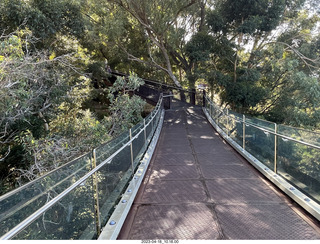 Astro Trails - Perth tour - Australian Botanical Garden - aerial walkway