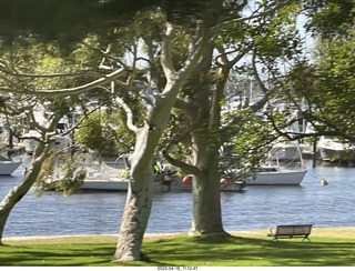 Astro Trails - Perth tour - Australian Botanical Garden - aerial walkway