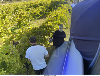 Astro Trails - wine-tasting tour - vineyard store