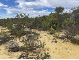 170 a1s. Astro Trails - Australia - Pinnacle park