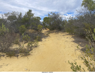 Astro Trails - Australia - Pinnacle park