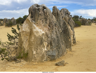 208 a1s. Astro Trails - Australia - Pinnacle park