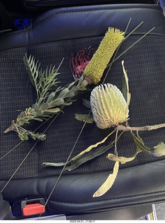 261 a1s. Astro Trails - Australia - rest stop - fruits