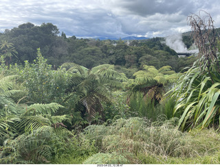 87 a1s. New Zealand - Thermal Hot Springs - Te Puia