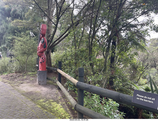 New Zealand - Thermal Hot Springs - Te Puia