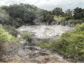 New Zealand - Thermal Hot Springs - Te Puia - mud pit