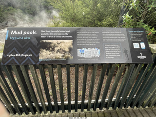 New Zealand - Thermal Hot Springs - Te Puia