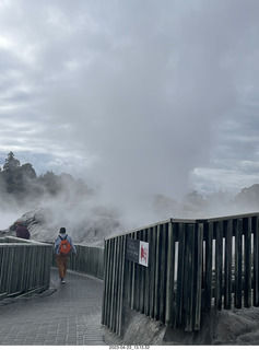 New Zealand - Thermal Hot Springs - Te Puia - steam and geyser