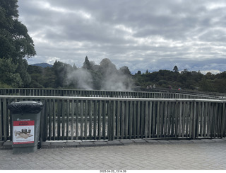 New Zealand - Thermal Hot Springs - Te Puia - steam and geyser