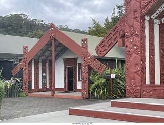 New Zealand - Thermal Hot Springs - Te Puia - steam and geyser