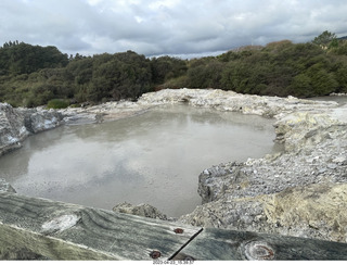 206 a1s. New Zealand - Hell's Gate - mud and thermal walk