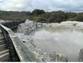 207 a1s. New Zealand - Hell's Gate - mud and thermal walk - mud