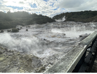 209 a1s. New Zealand - Hell's Gate - mud and thermal walk