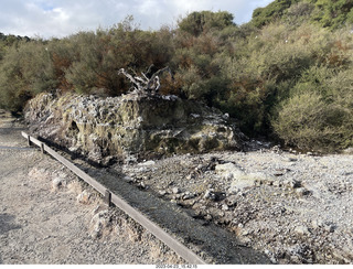 217 a1s. New Zealand - Hell's Gate - mud and thermal walk