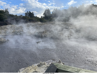 221 a1s. New Zealand - Hell's Gate - mud and thermal walk