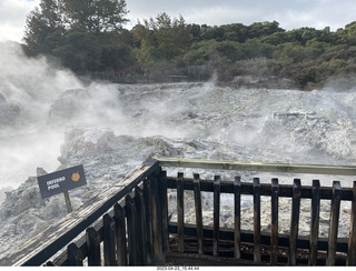 223 a1s. New Zealand - Hell's Gate - mud and thermal walk