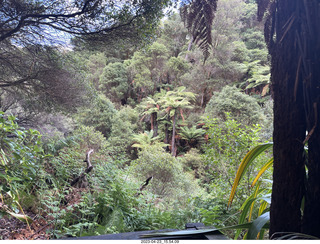 New Zealand - Hell's Gate - mud and thermal walk