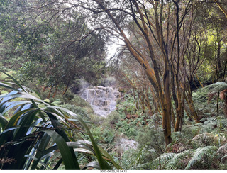 New Zealand - Hell's Gate - mud and thermal walk