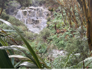 238 a1s. New Zealand - Hell's Gate - mud and thermal walk - waterfall