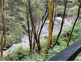 240 a1s. New Zealand - Hell's Gate - mud and thermal walk - waterfall