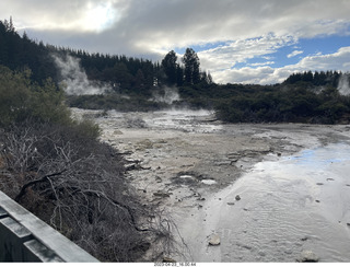 242 a1s. New Zealand - Hell's Gate - mud and thermal walk