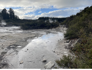 243 a1s. New Zealand - Hell's Gate - mud and thermal walk