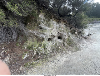 244 a1s. New Zealand - Hell's Gate - mud and thermal walk