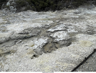 259 a1s. New Zealand - Hell's Gate - mud and thermal walk