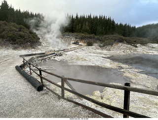 260 a1s. New Zealand - Hell's Gate - mud and thermal walk