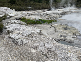 263 a1s. New Zealand - Hell's Gate - mud and thermal walk