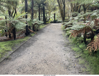 New Zealand - Hell's Gate - mud and thermal walk