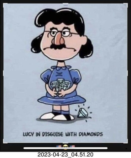 Facebook - Lucy in disguise with diamonds