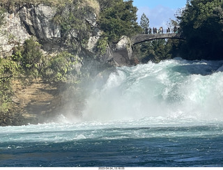 New Zealand - Huka Falls River Cruise + black swan