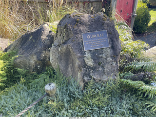 182 a1s. New Zealand - Lava Glass rock