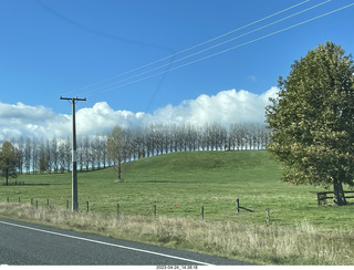 New Zealand - Lava Glass