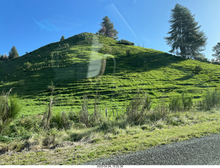 New Zealand - Lava Glass