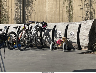 13 a1s. New Zealand - cultural center for breakfast - bikes including a tricycle