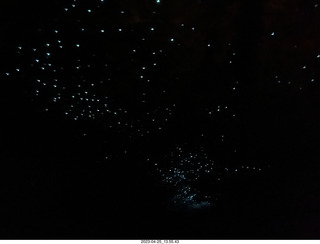 New Zealand - Spellbound Glowworm & Cave Tours - cave with visible glowworms