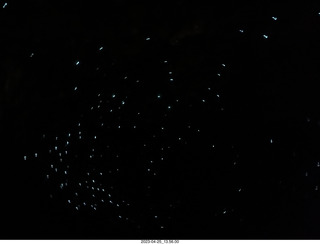 New Zealand - Spellbound Glowworm & Cave Tours - dark cave with glowworms