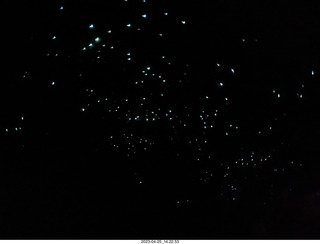 142 a1s. New Zealand - Spellbound Glowworm & Cave Tours - dark cave with glowworms