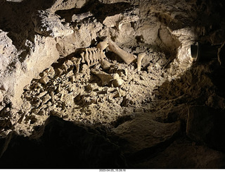 New Zealand - Spellbound Glowworm & Cave Tours - cave with bones