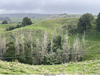 New Zealand - Spellbound Glowworm & Cave Tours