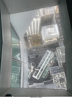 New Zealand - Auckland Sky Tower 51st floor view down through glass