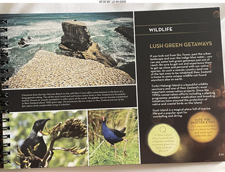 New Zealand - Auckland Sky Tower brochure