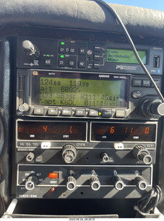 cat Pickle drinking from the faucet