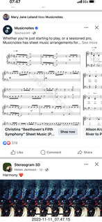 Arizona Musicfest - Beethoven No. 9 - program