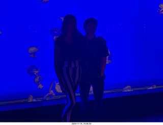 Odysea Aquarium - Ashley and Tyler  silhouette