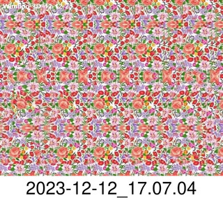 Facebook - stereogram